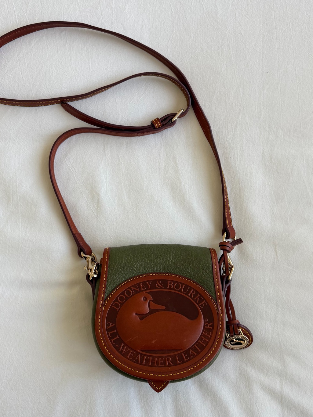 Vintage Dooney & Bourke Green And Brown Leather Bag